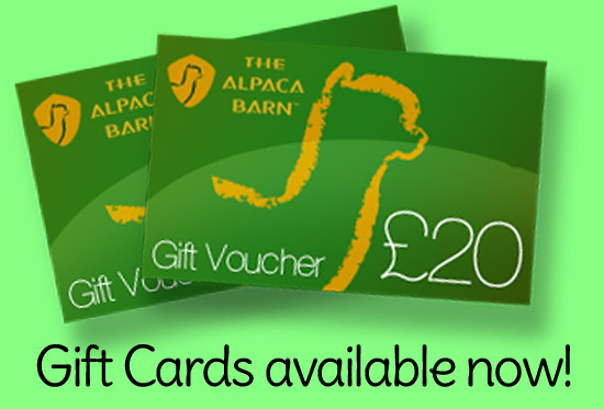 Alpaca Gift Cards